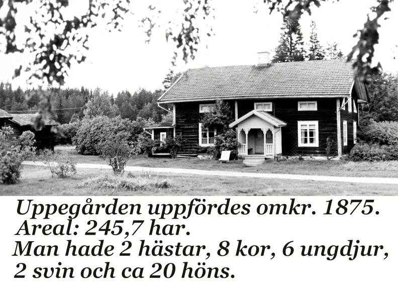 06da10 Uppegården.jpg